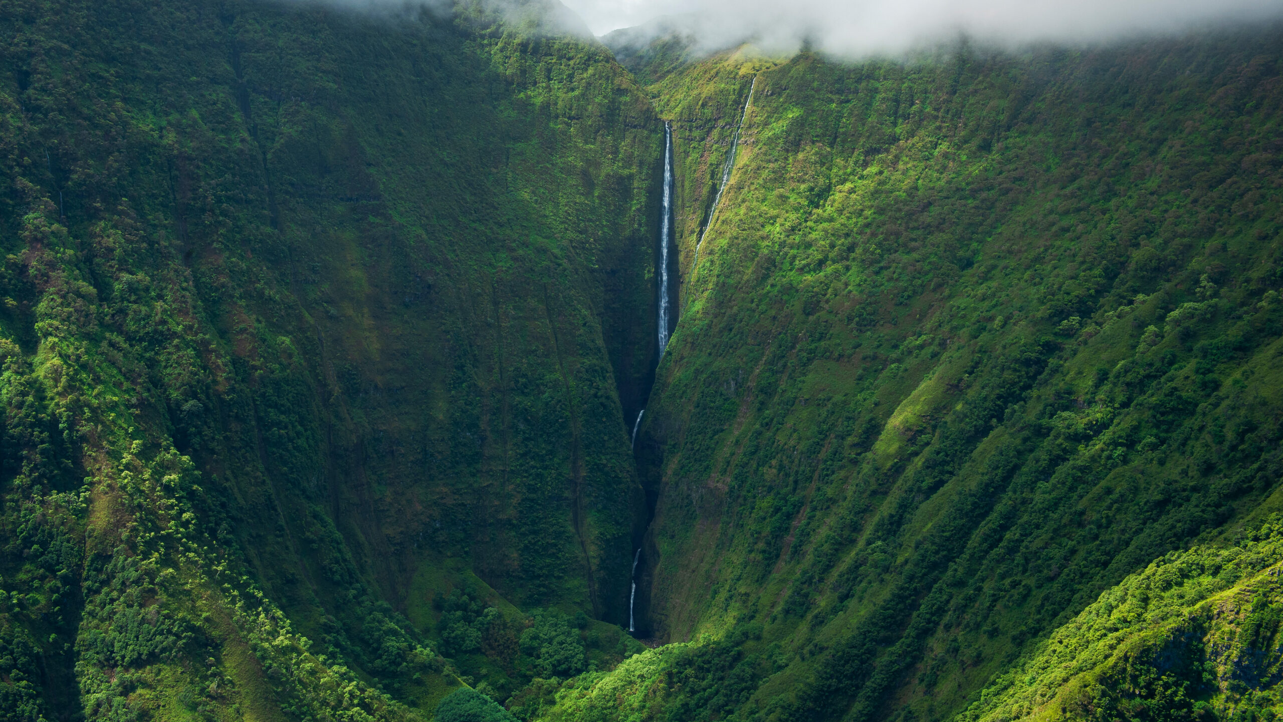 Olo'upena Falls, island of Moloka'i, Hawaii