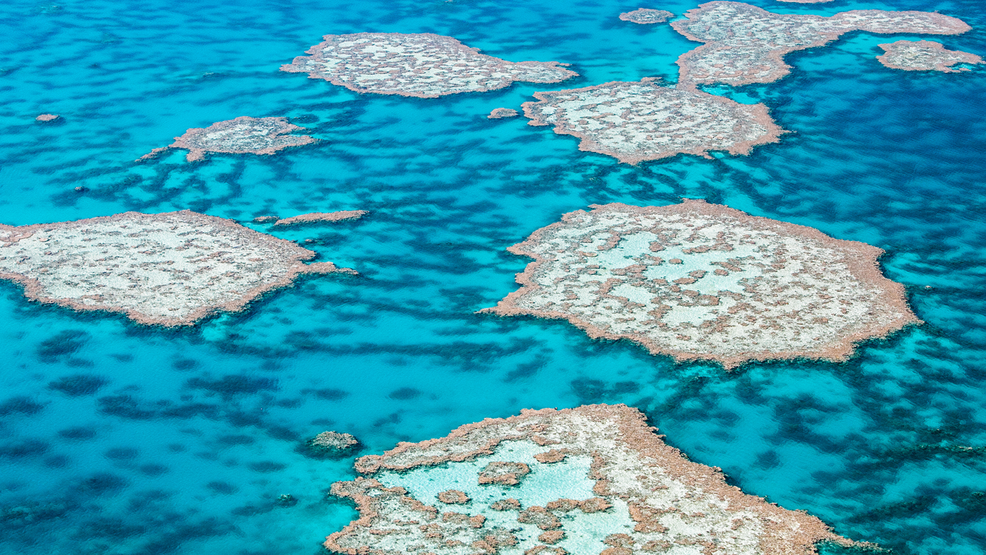 Great Barrier Reef aerial view