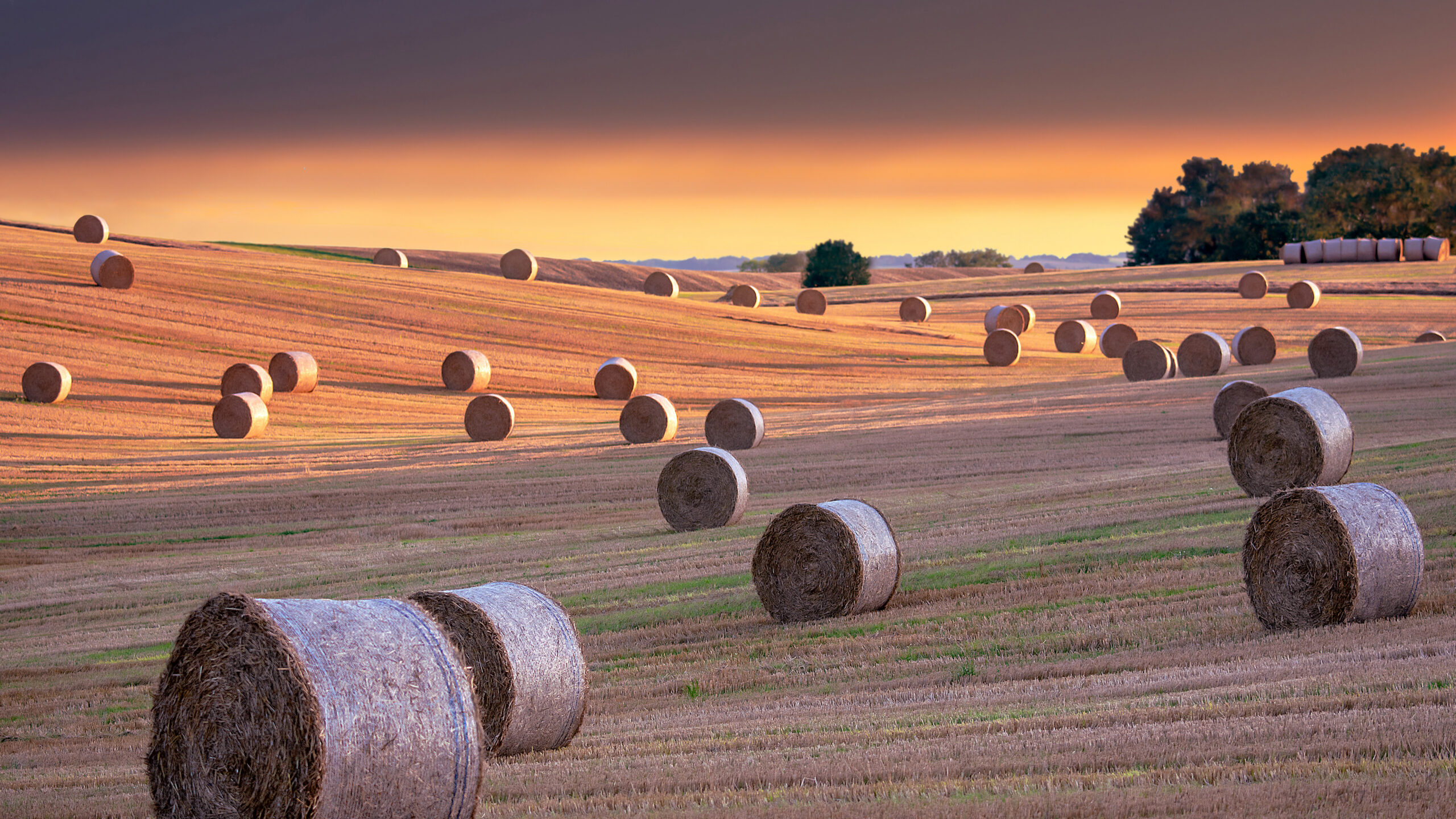 Hay bales, North Yorkshire, England