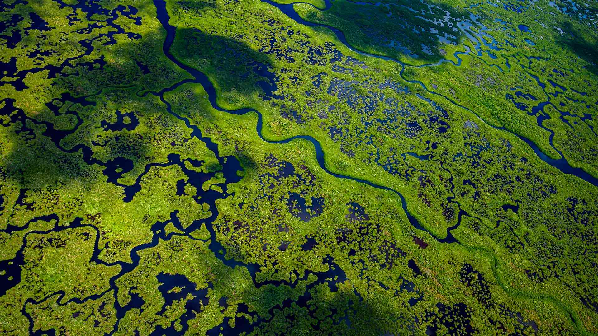Aerial view of Everglades National Park, Florida