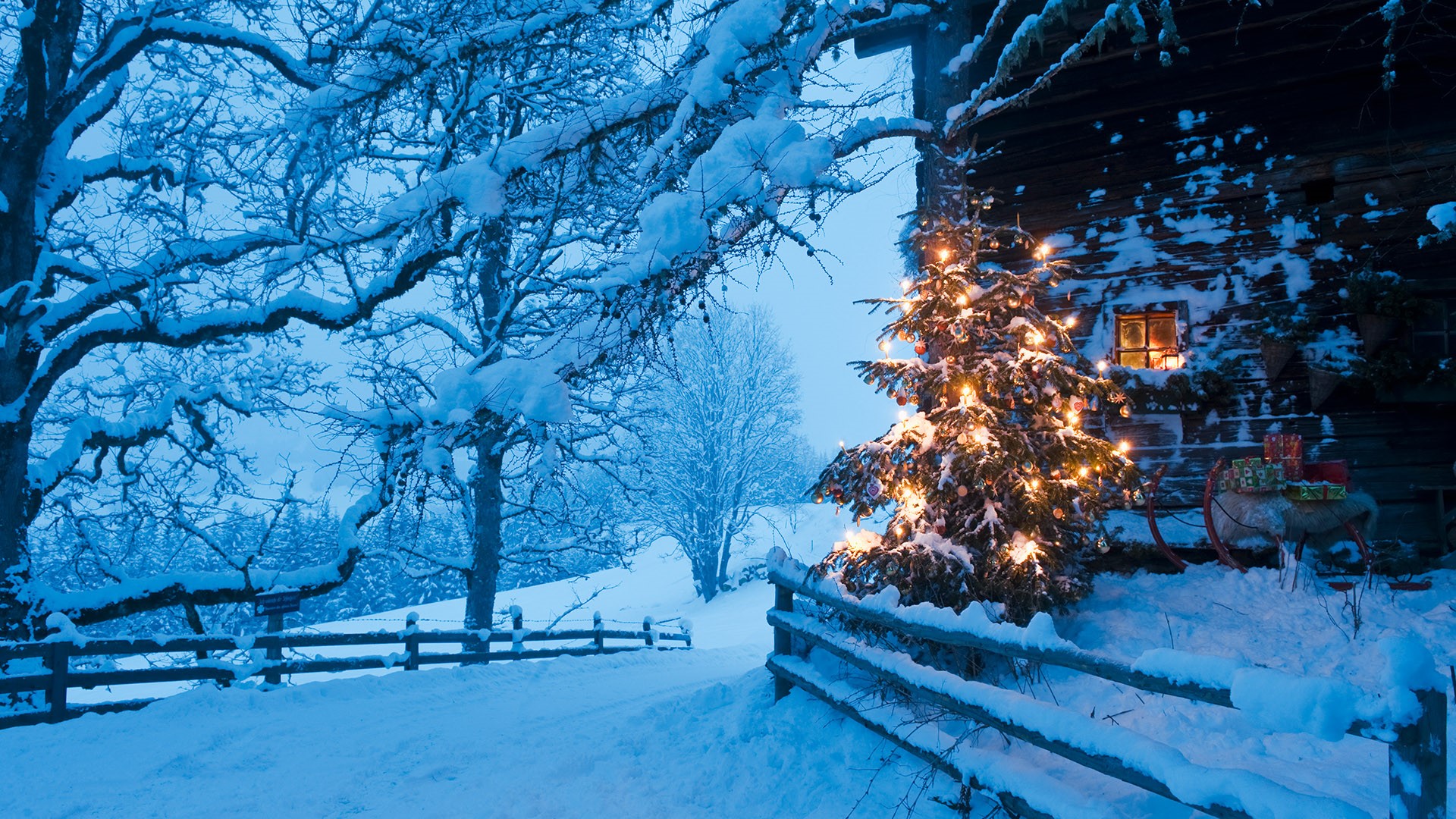 Illuminated Christmas tree with sleigh in front of alpine hut at dusk, Flachau, Salzburg Country, Austria
