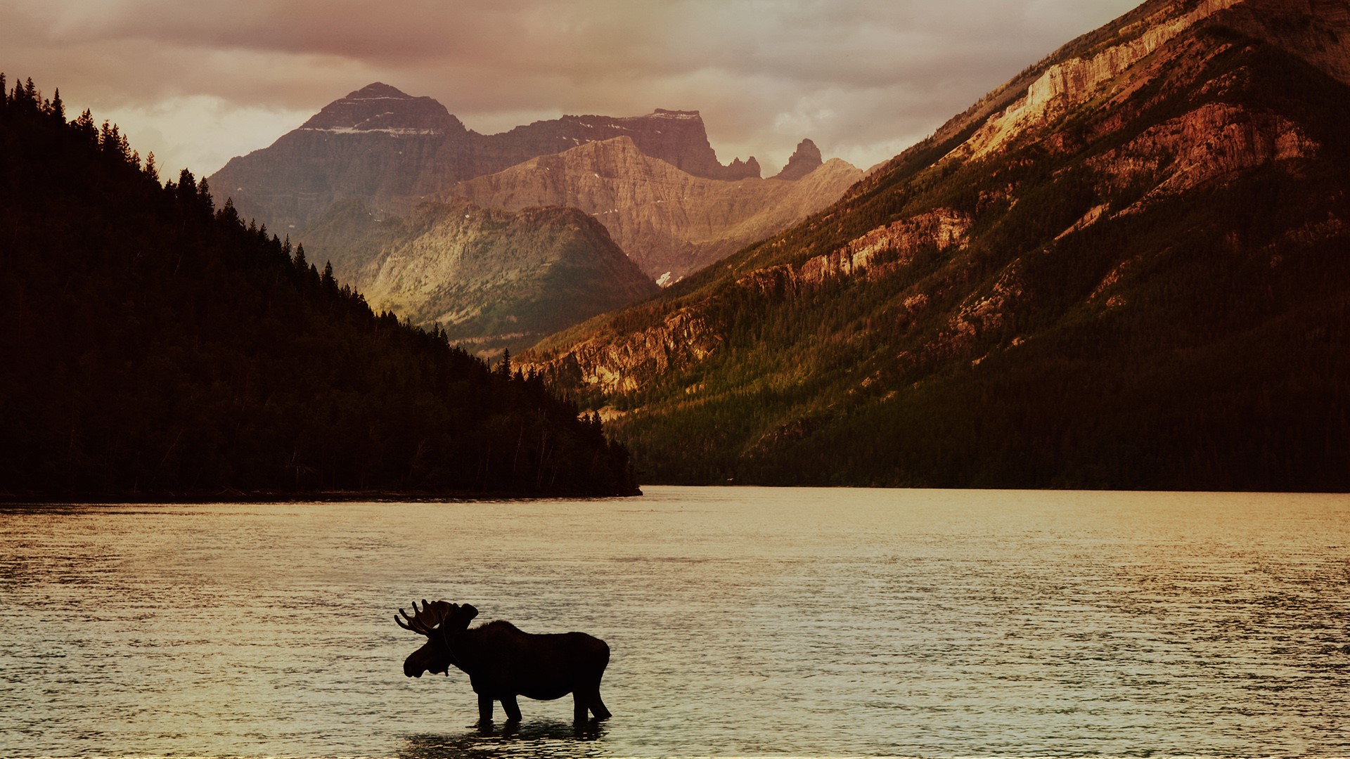 Waterton Lakes National Park at sunset with moose silhouette, Alberta, Canada