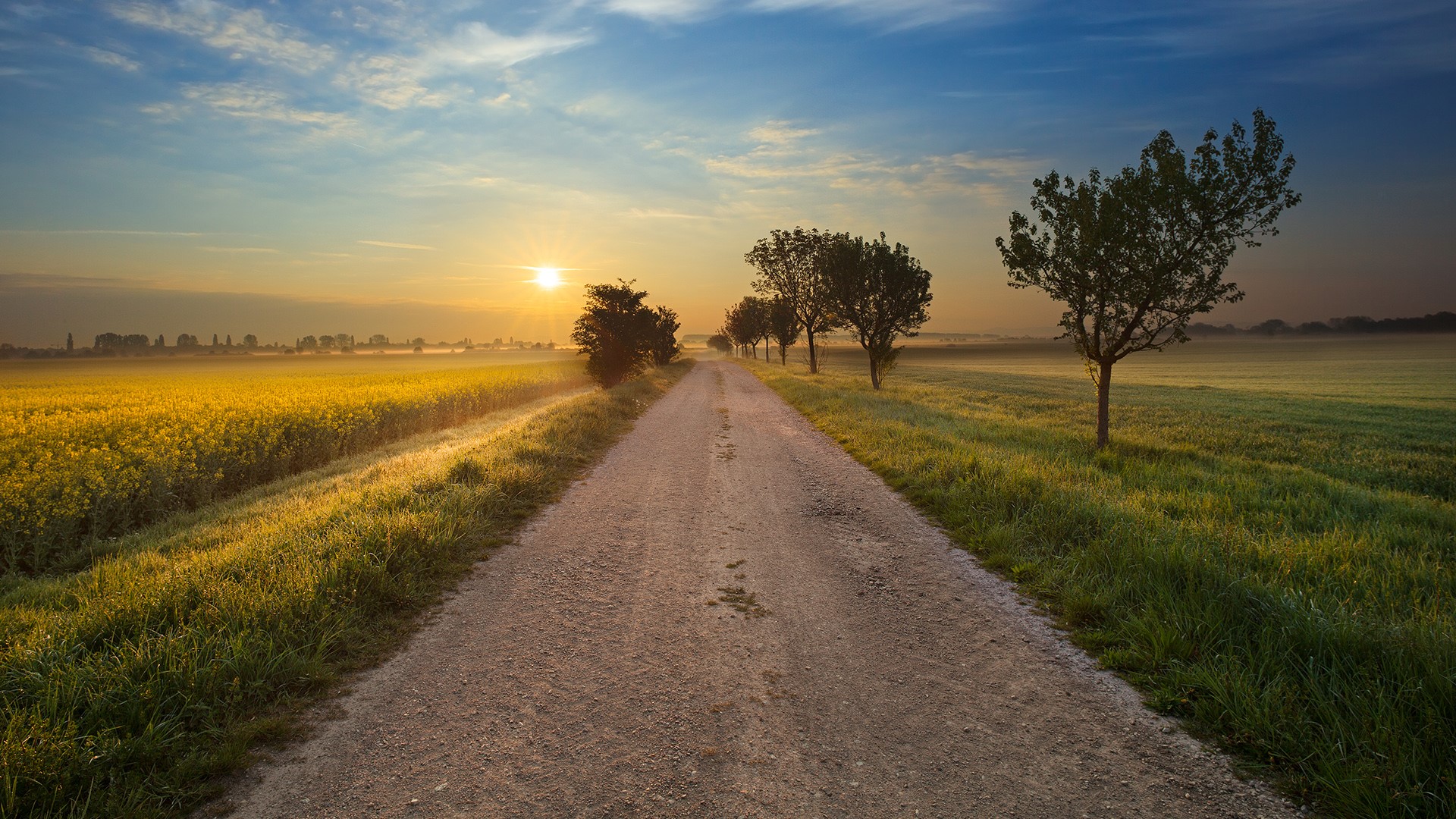 Road near Mannheim, Baden-Württemberg, Germany