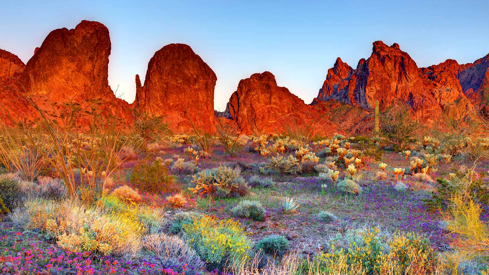 Kofa National Wildlife Refuge, Arizona