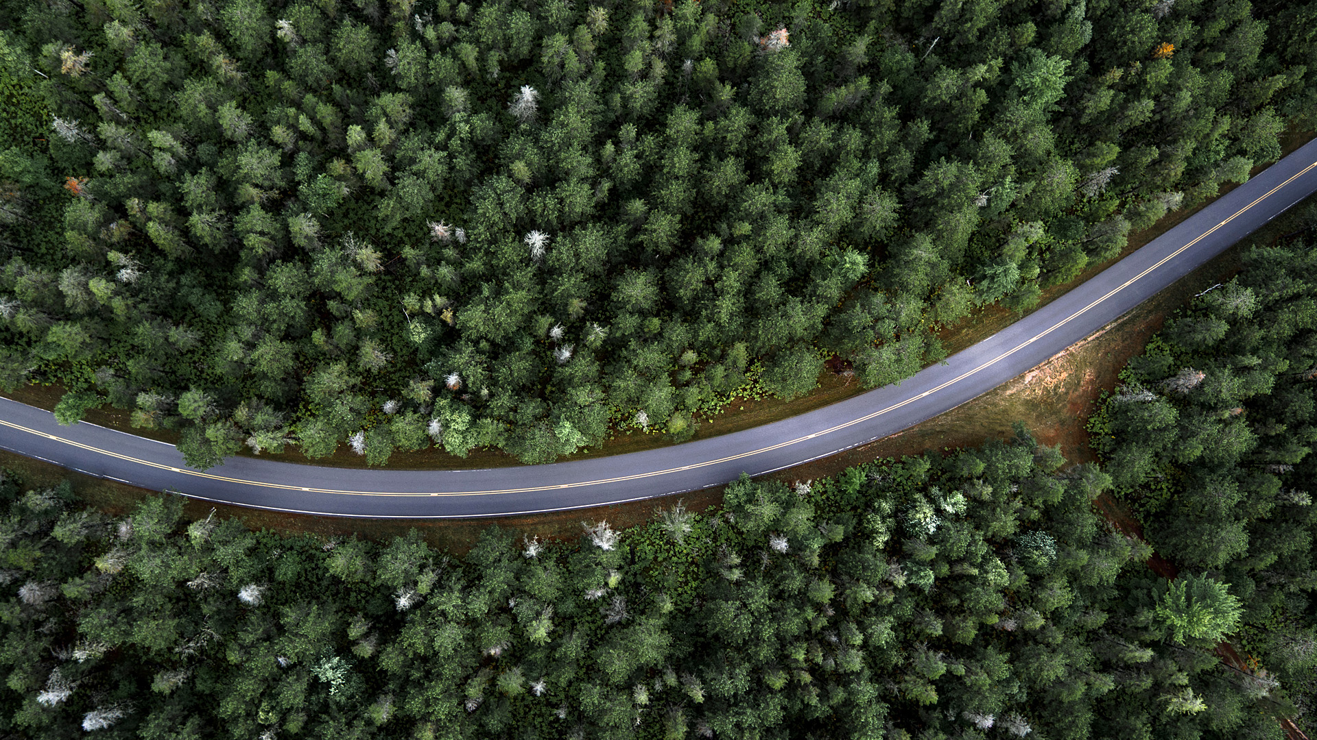 Country road through forest aerial view, north USA