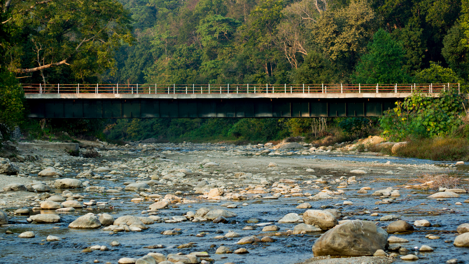 Bridge passing over a mountain river, Jim Corbett national park, Nainital, Uttarakhand, India