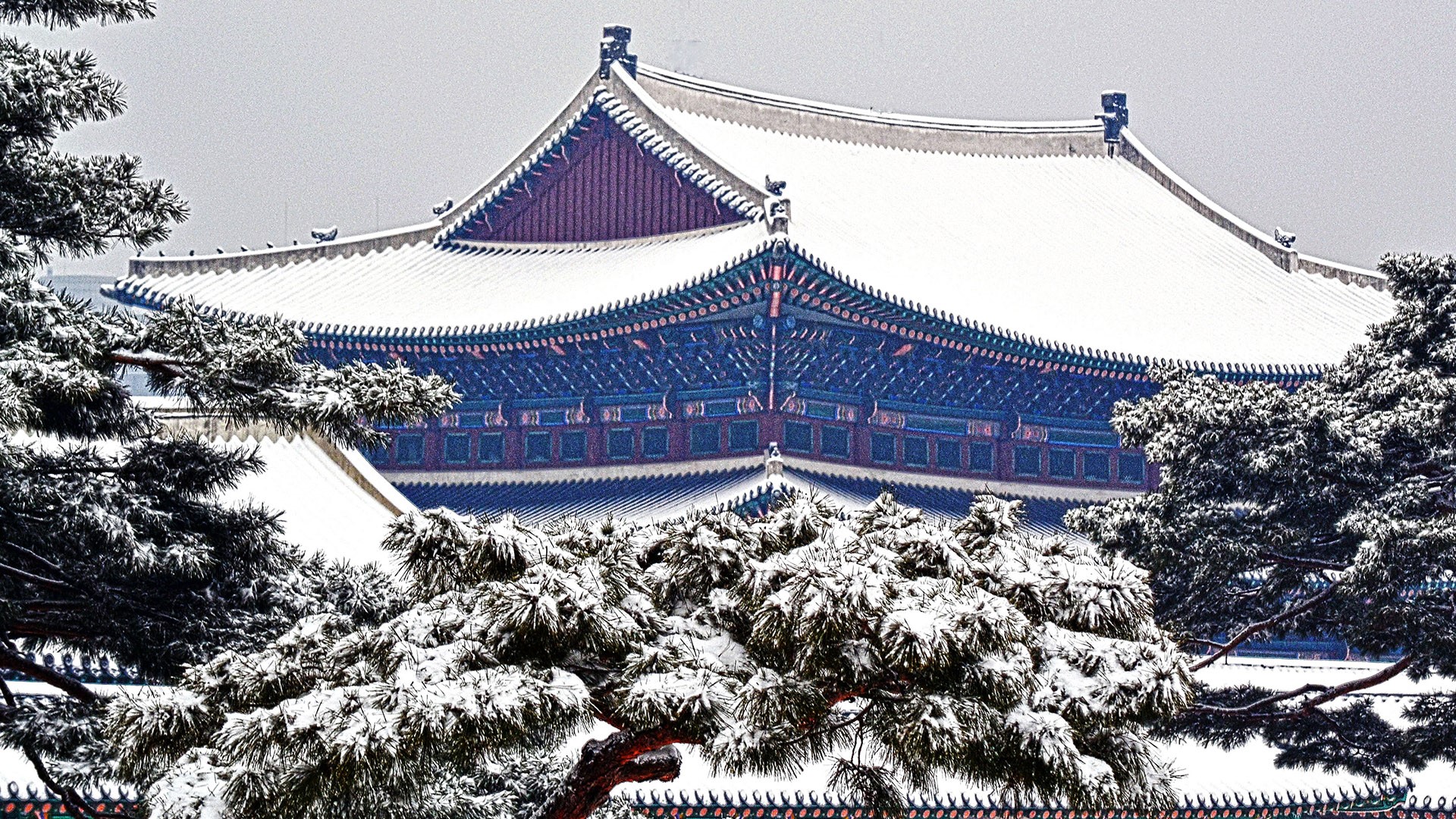 Palace of Prospering Virtue, Changdeokgung Palace, Jongno gu, Seoul, South Korea