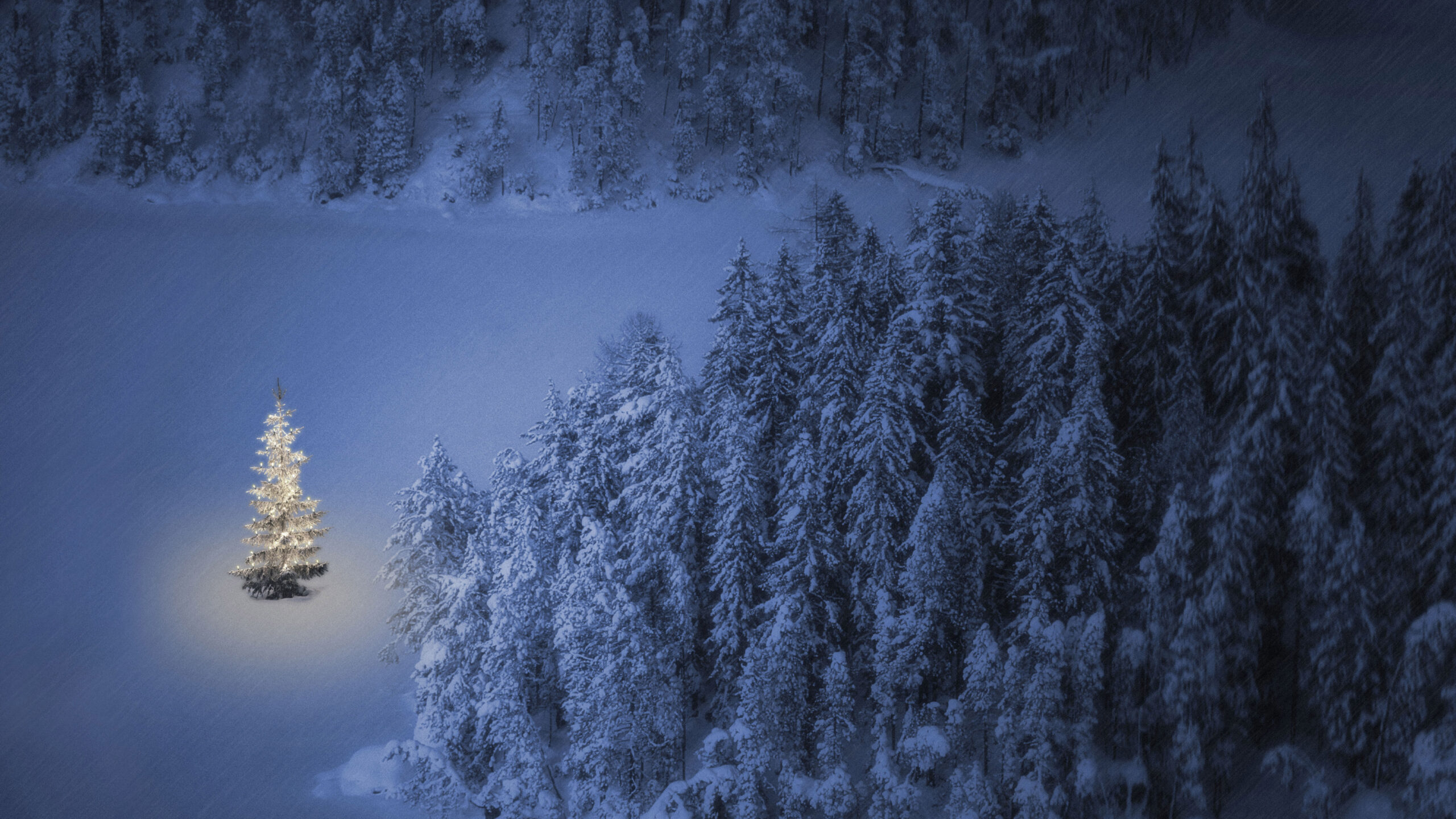Christmas tree at Weissensee, a small lake near Ehrwald in Tyrol, Austria