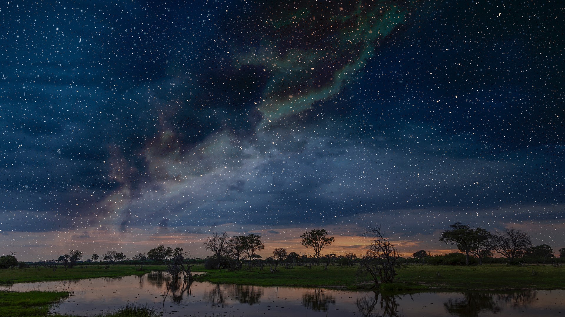 Starry night sky over swamp, Okavango Delta, Botswana, Limpopo, South Africa