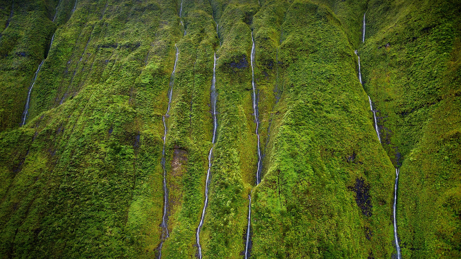 Mount Waialeale known as the wettest spot on Earth, Kauai, Hawaii, USA