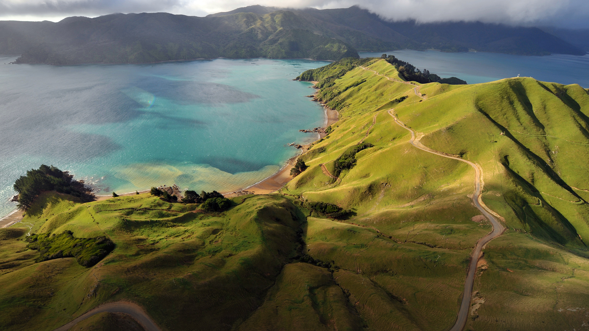 Aerial view of Marlborough Sounds, South Island of New Zealand