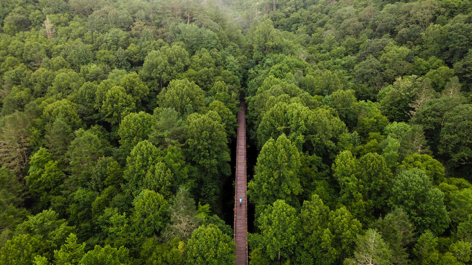Aerial view of the Virginia Creeper Trail, Damascus, Virginia