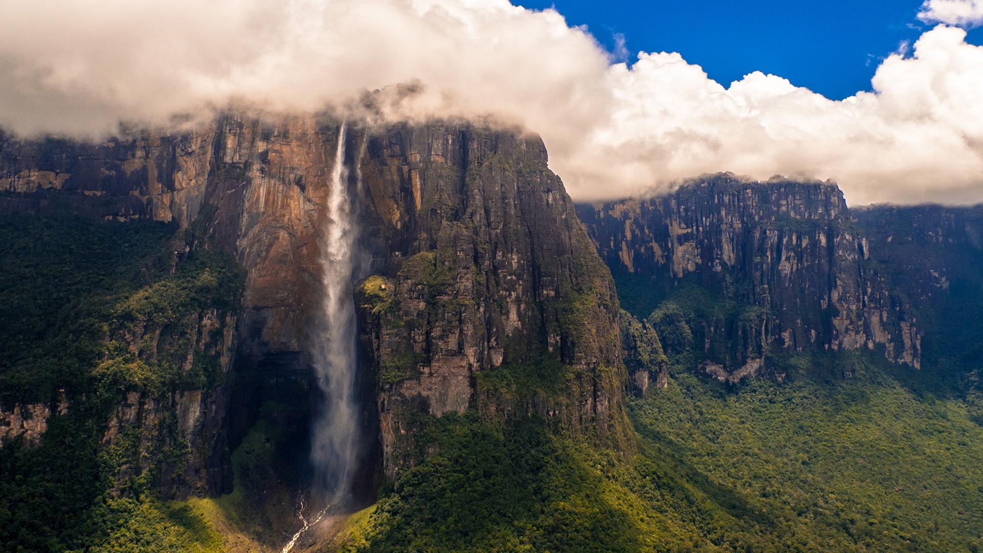 Angel Falls waterfall at the Auyán-tepui mountain, Canaima National Park, Venezuela