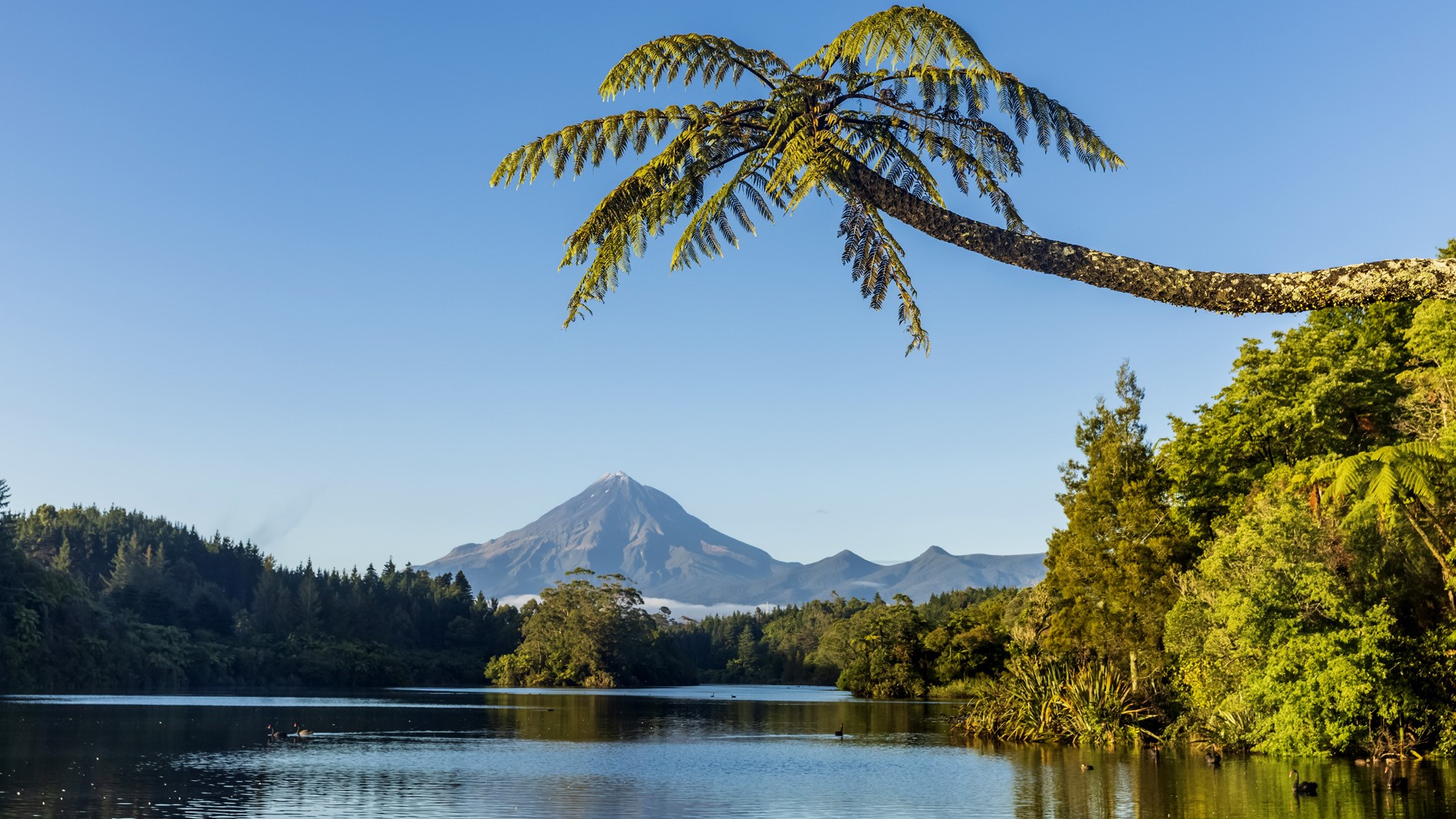 Lake Mangamahoe shore with Mount Taranaki in background, New Plymouth, New Zealand
