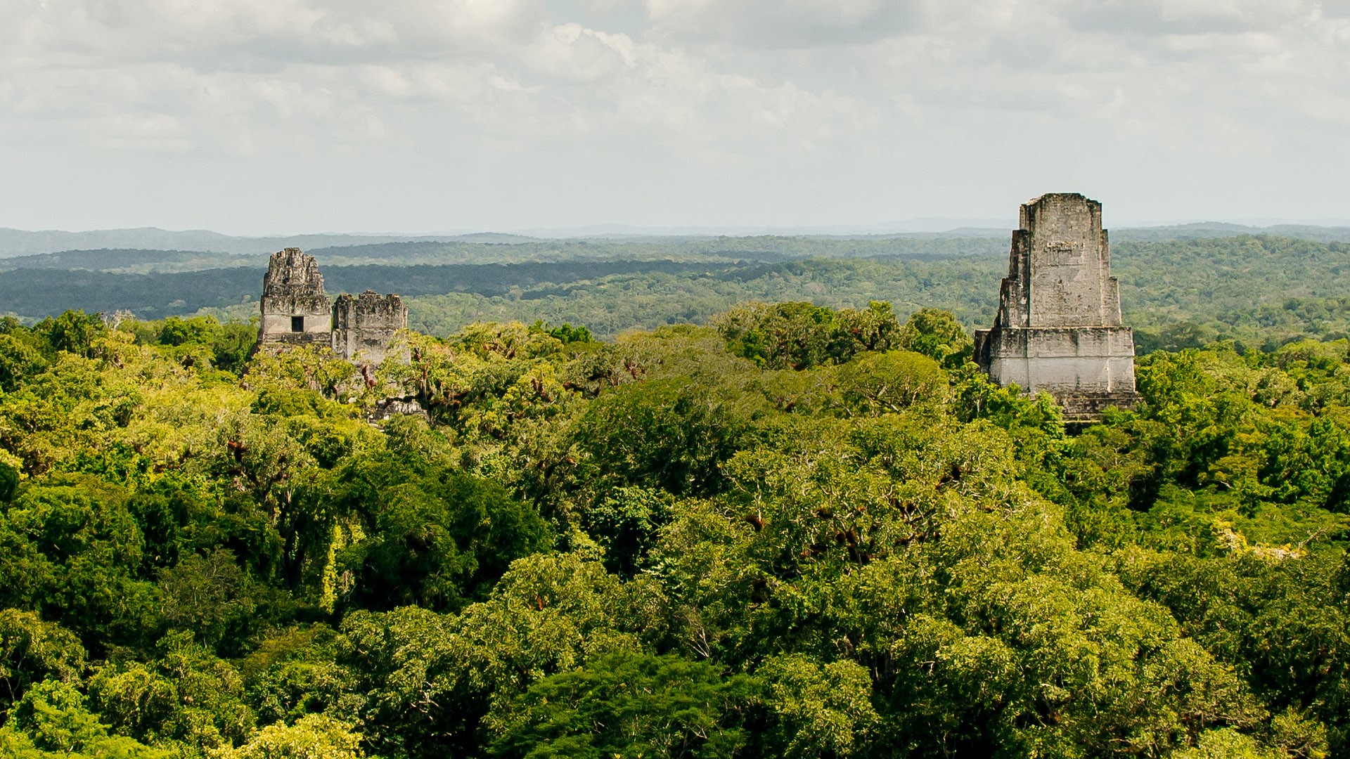 Tikal National Park ancient city ruins in a rainforest, El Petén, Guatemala