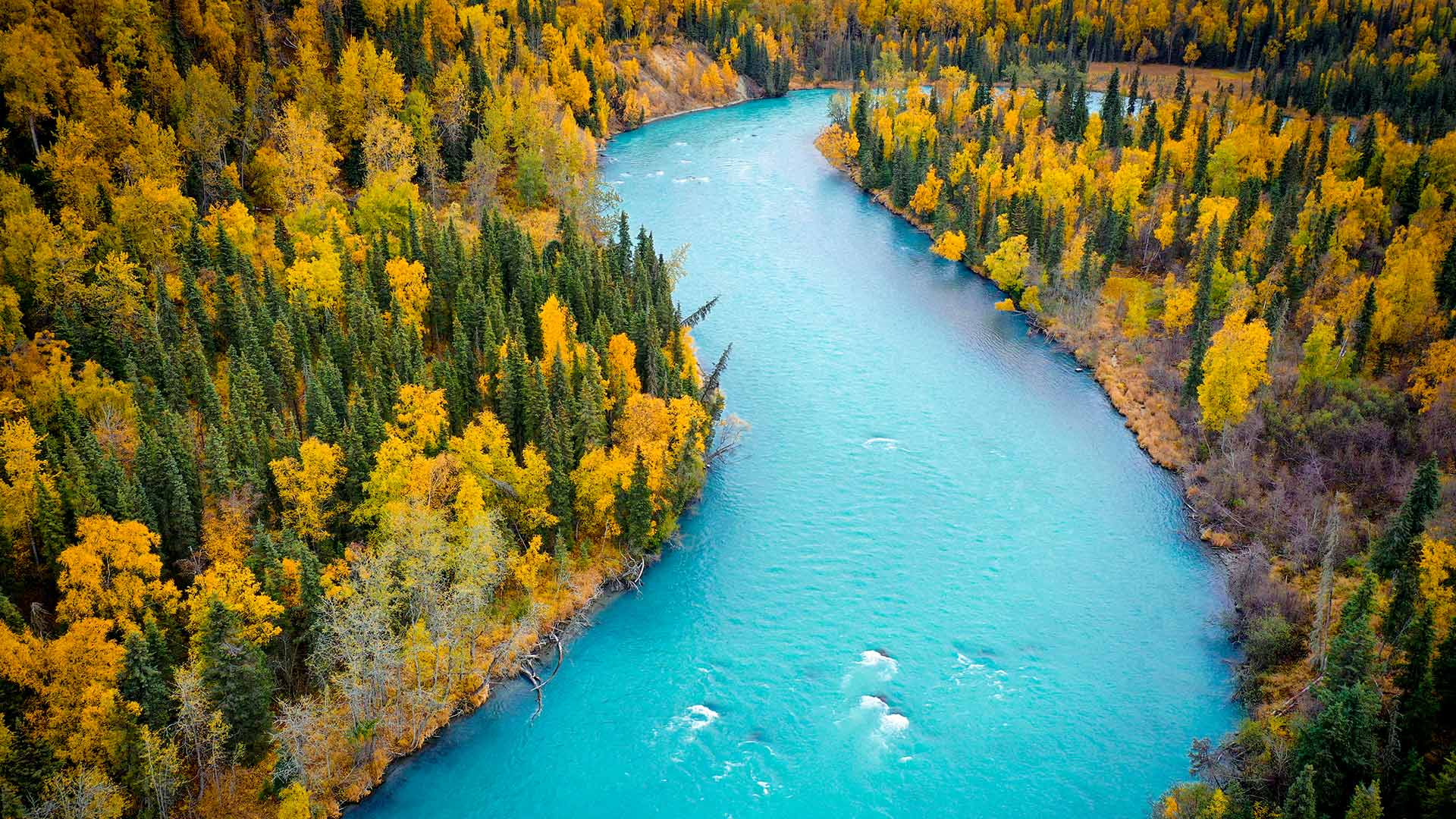 The blue, glacier-fed waters of the Kasilof River, Alaska, USA