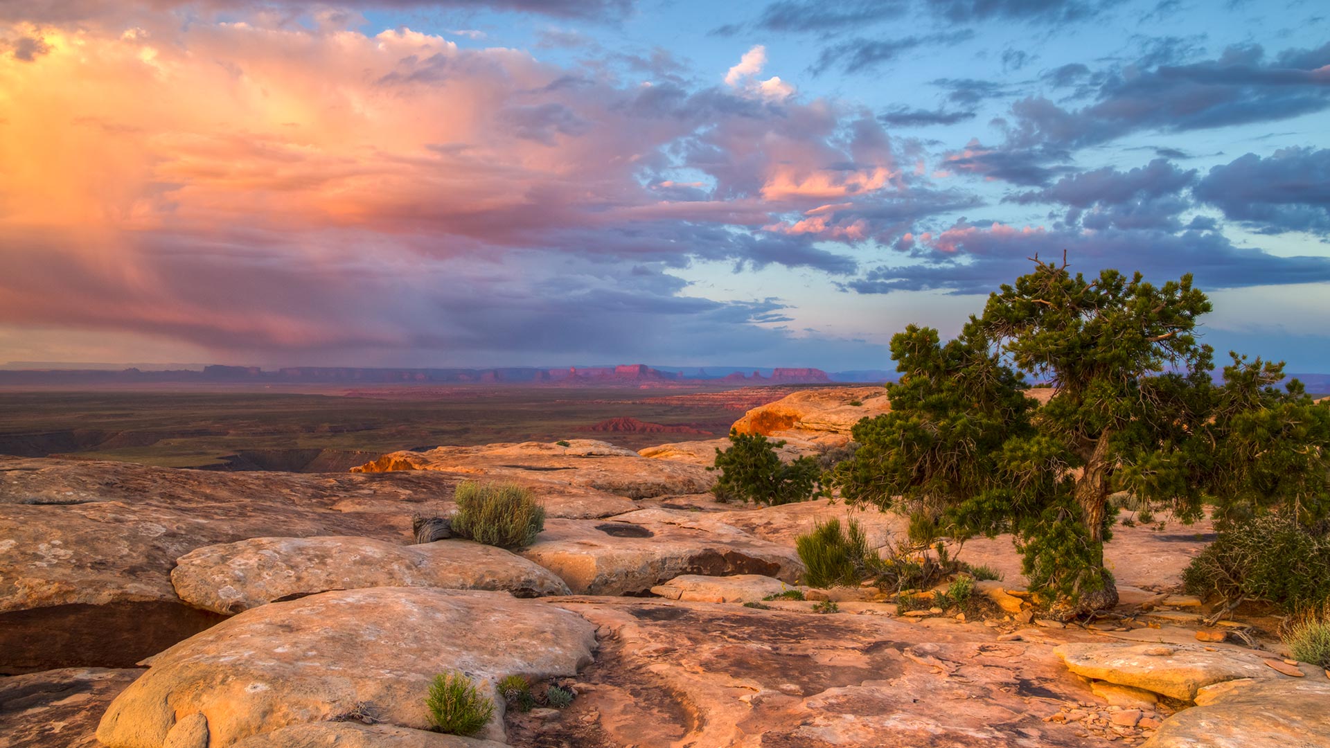Cedar Mesa and Muley Point near Bears Ears National Monument, Utah, USA