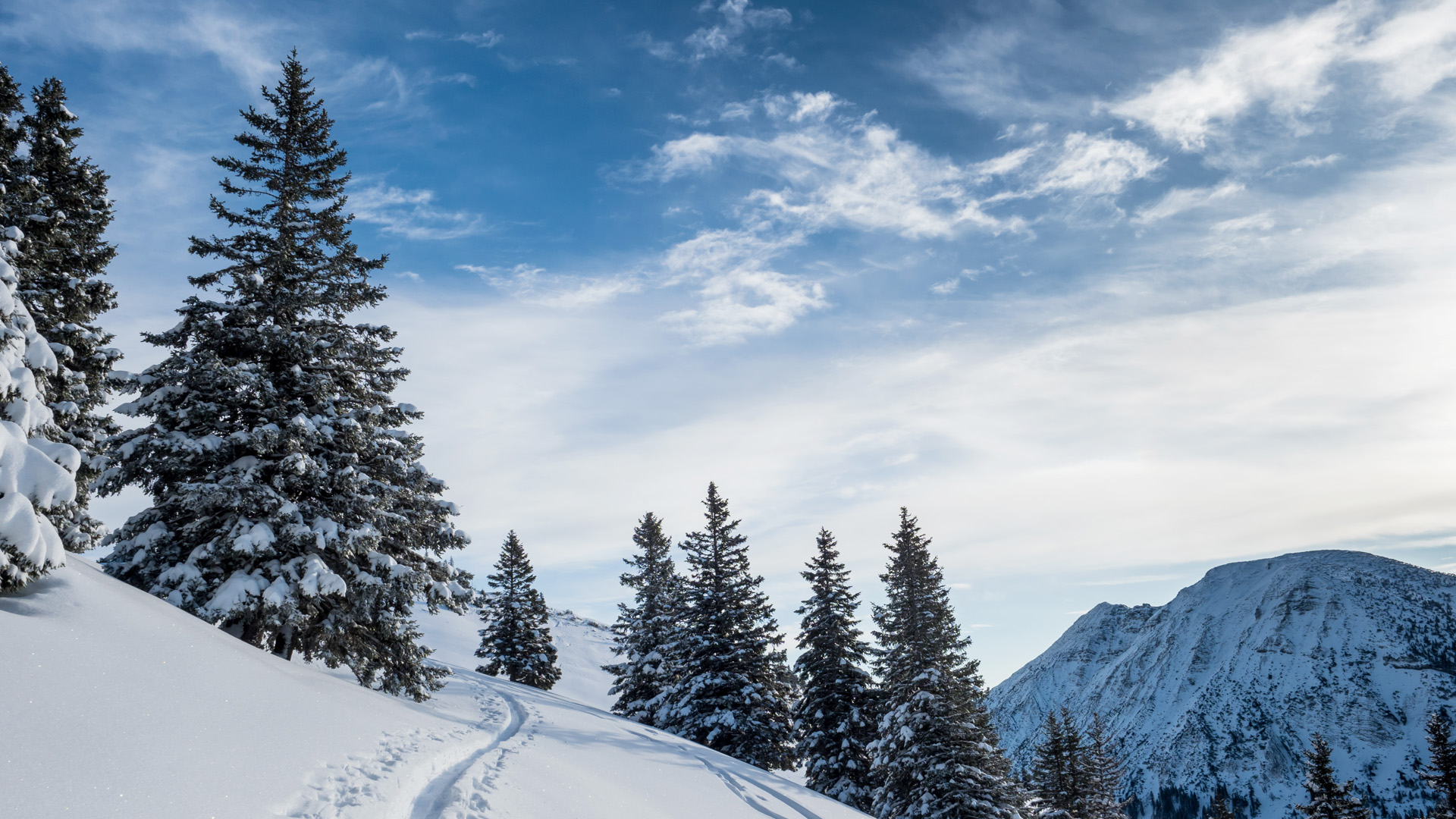 Ski touring track in mountains, Germany