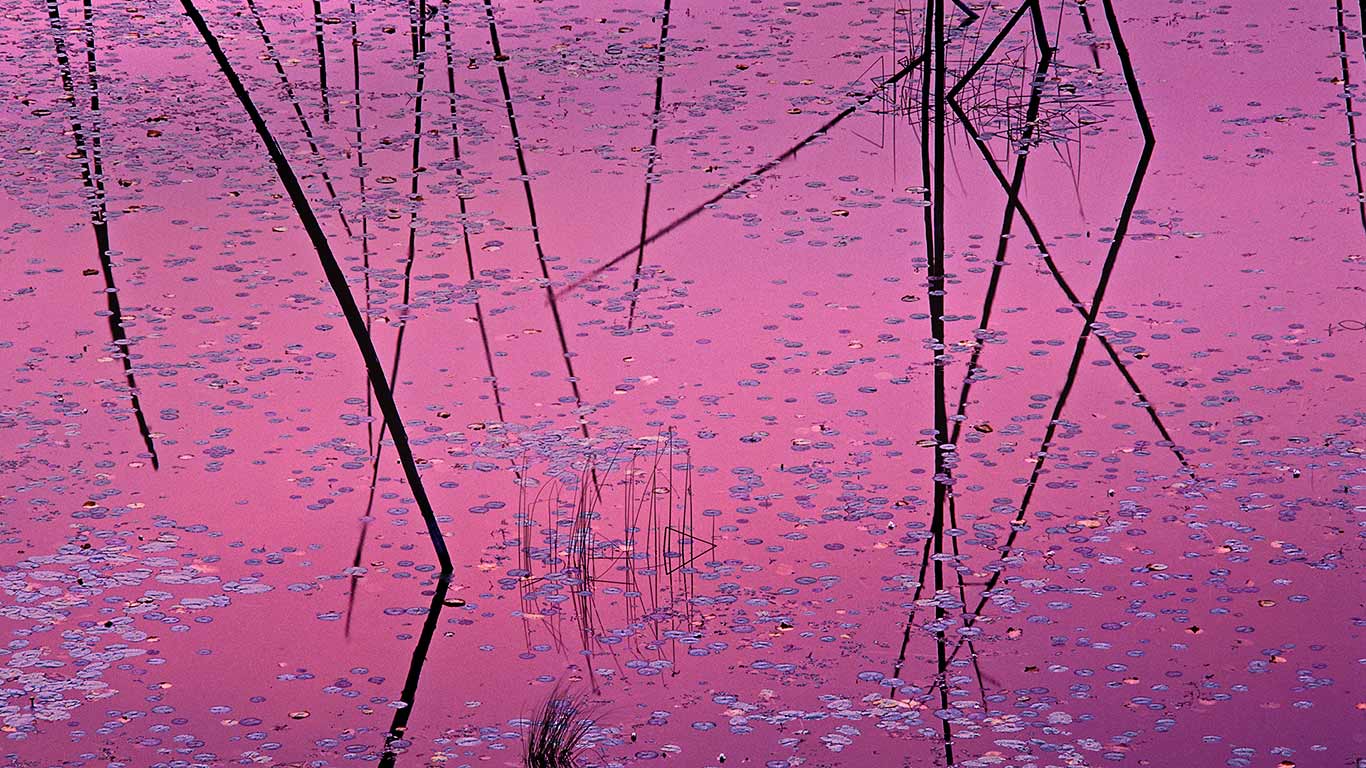 Sunset near Ely, Minnesota