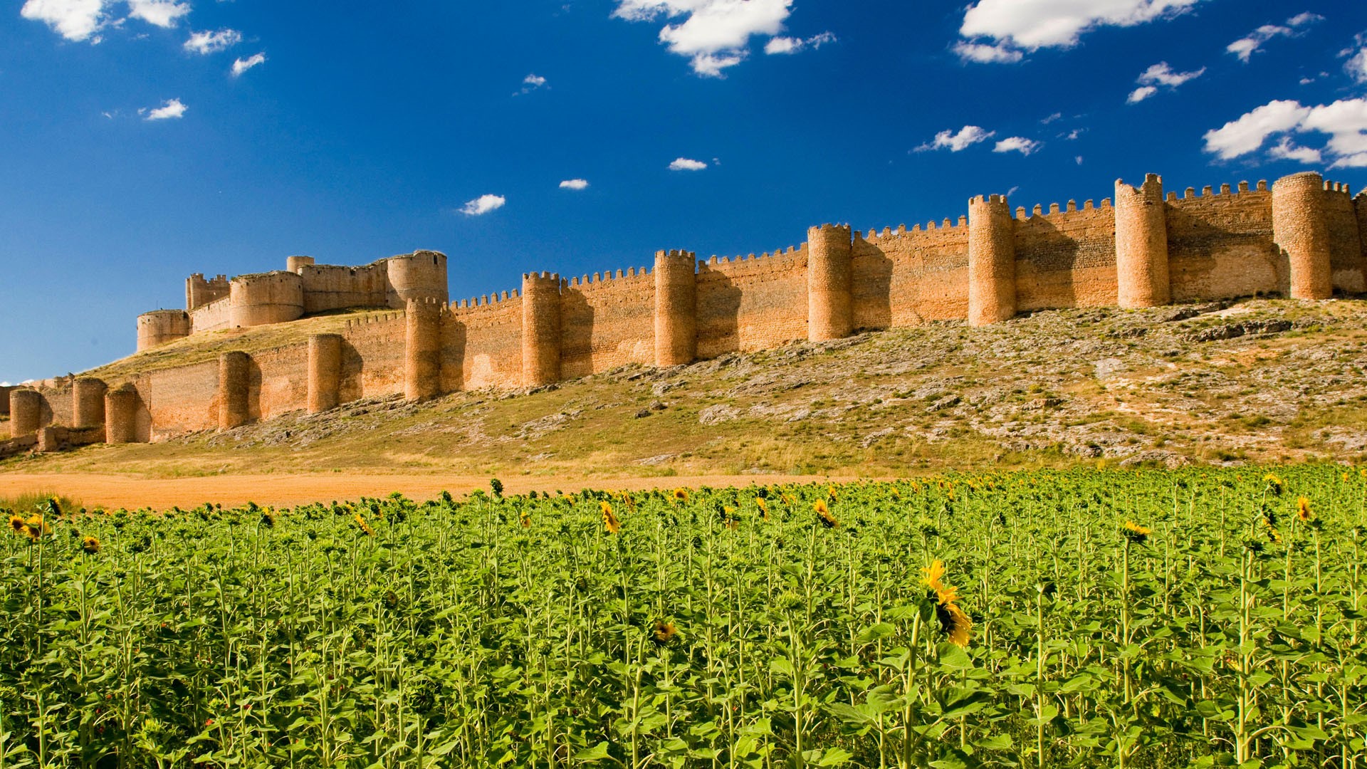 Berlanga de Duero Castle, Soria Province, Castile and Leon, Spain
