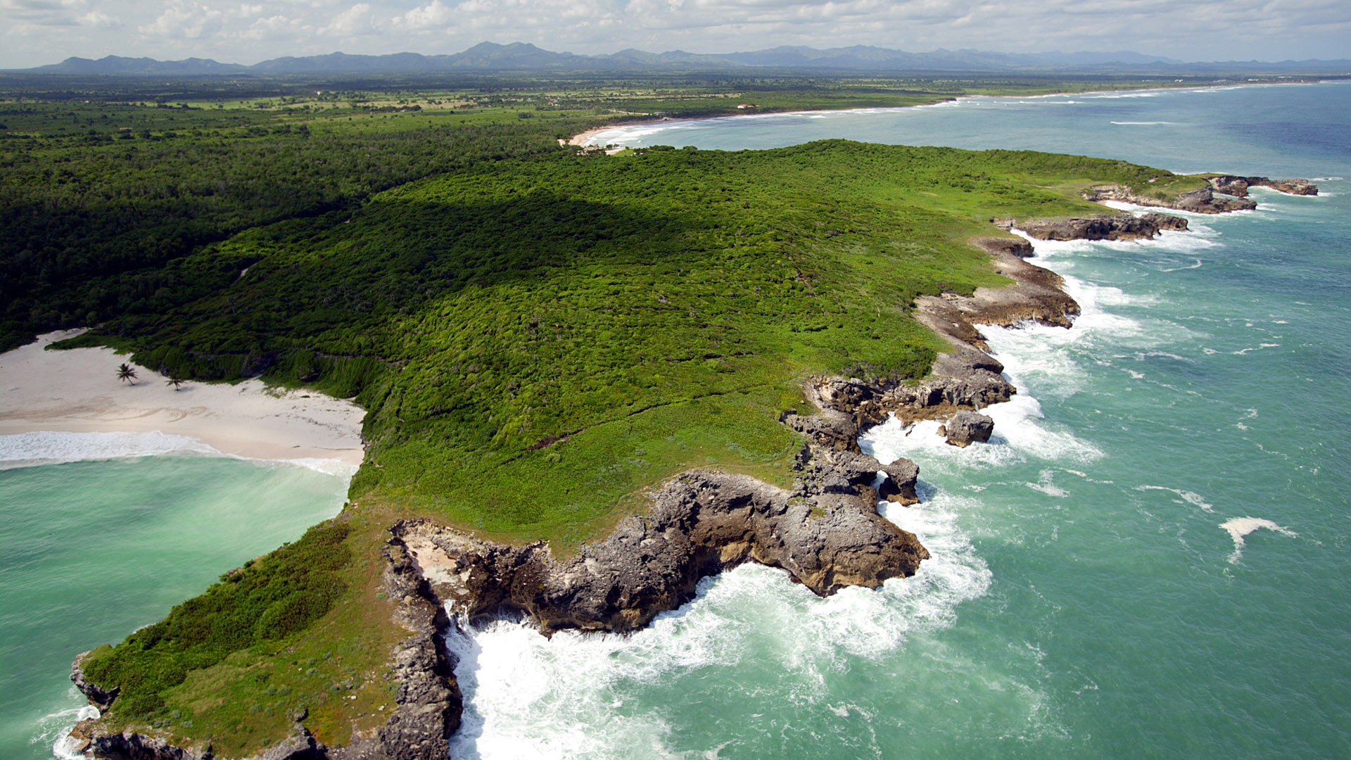Coast near El Macao, Punta Cana region, La Altagracia, Dominican Republic