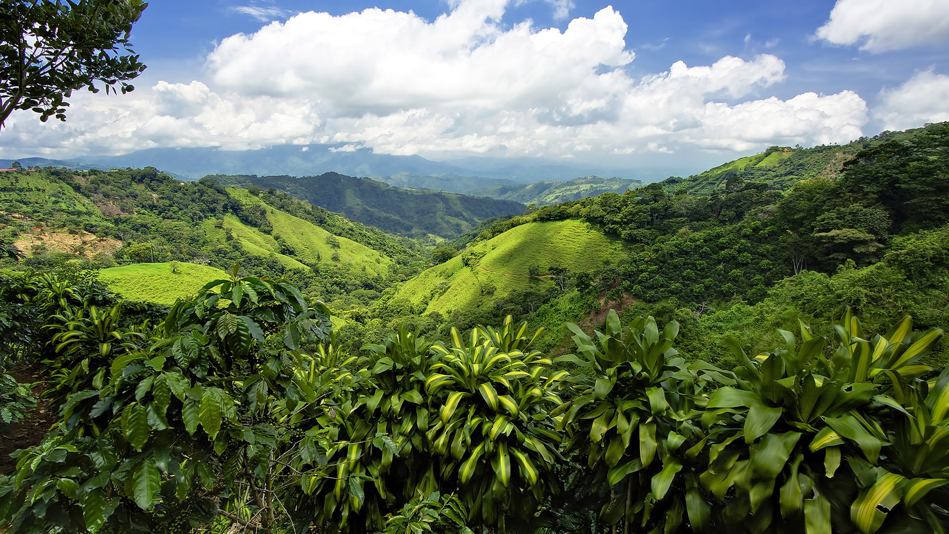 Mountains and hills with view into valley, San José, Costa Rica