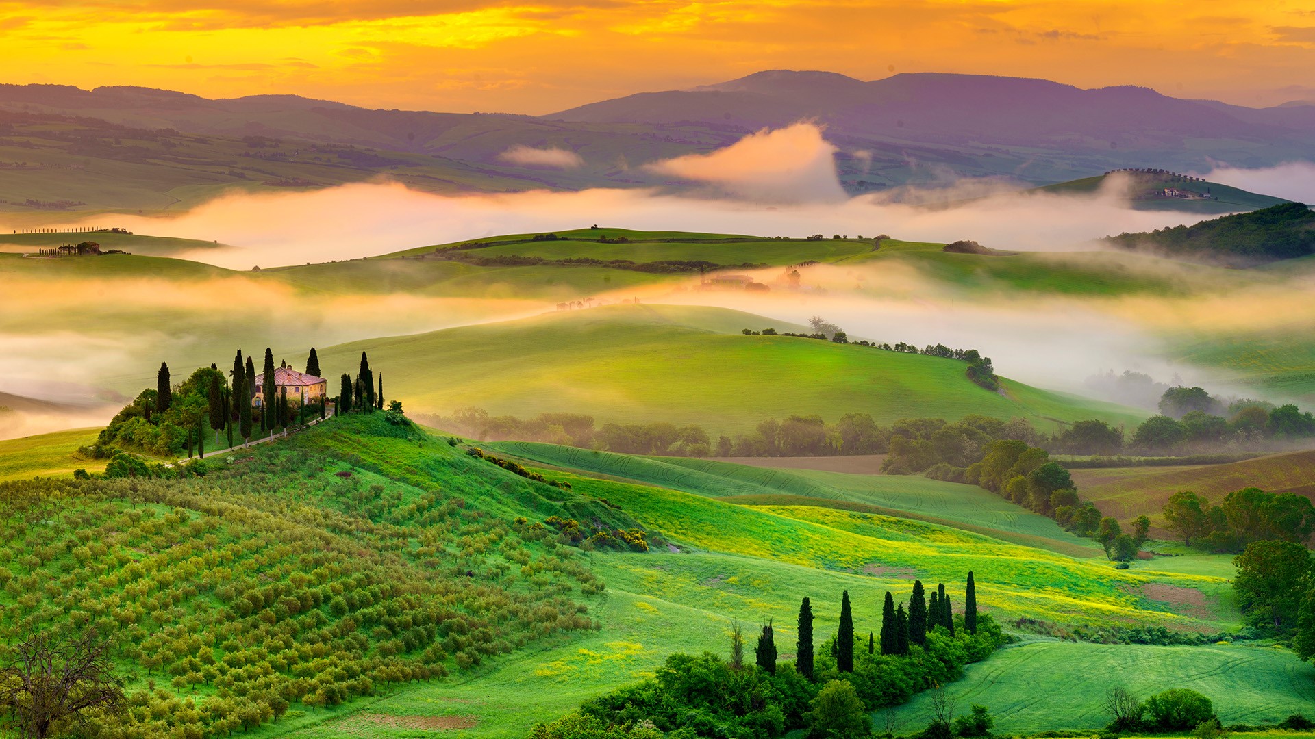 Country House near San Quirico d'Orcia, Val d'Orcia, Siena District, Tuscany, Italy