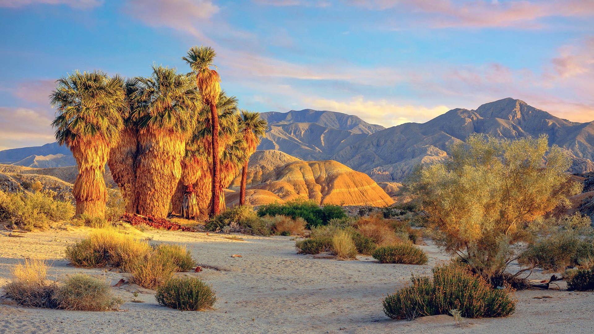 Springtime in Anza-Borrego Desert State Park, California, USA