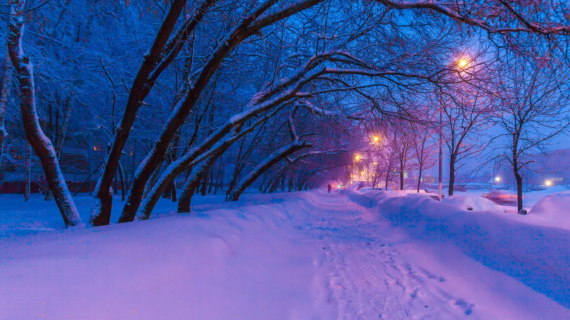 Night view of the winter city with snow-covered trees and lanterns, Moscow, Russia