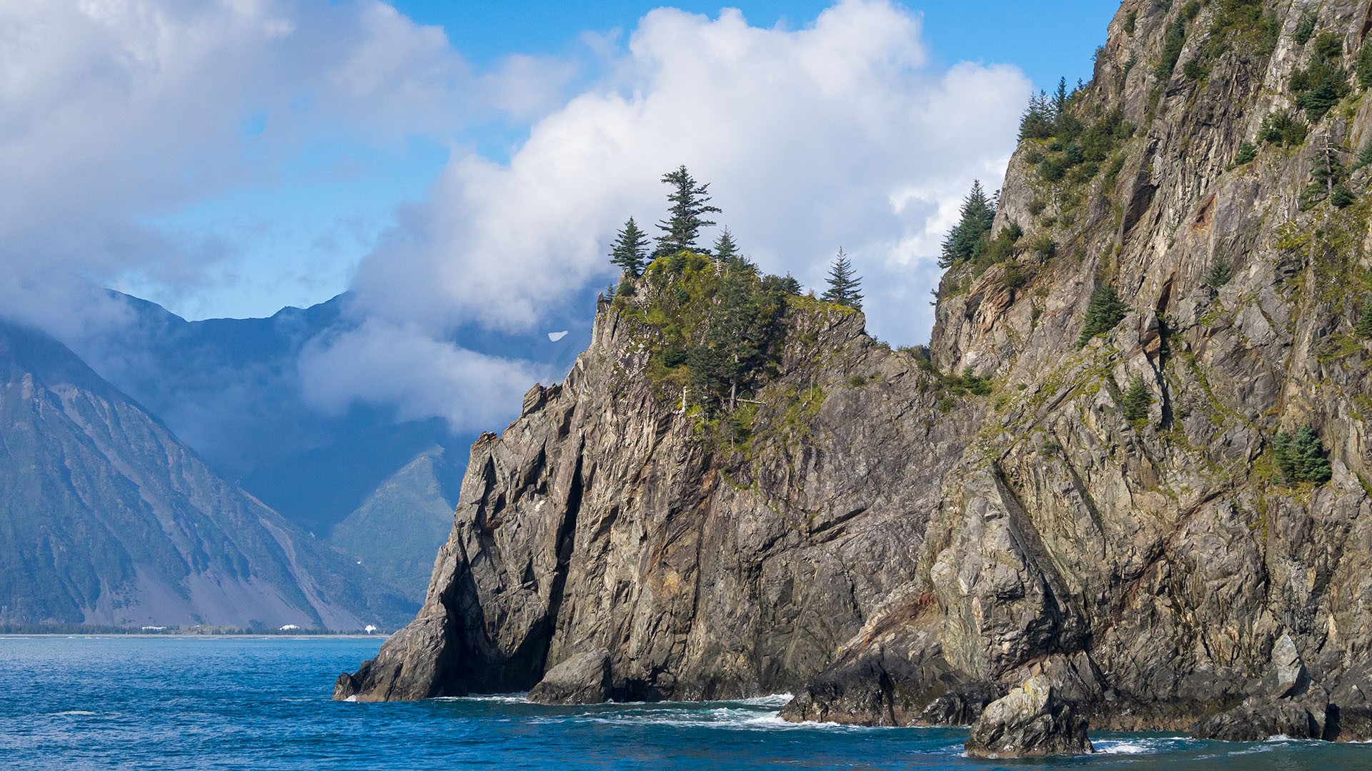 Trees on rock at Resurrection Bay, Kenai Peninsula Borough, Southcentral Alaska, USA