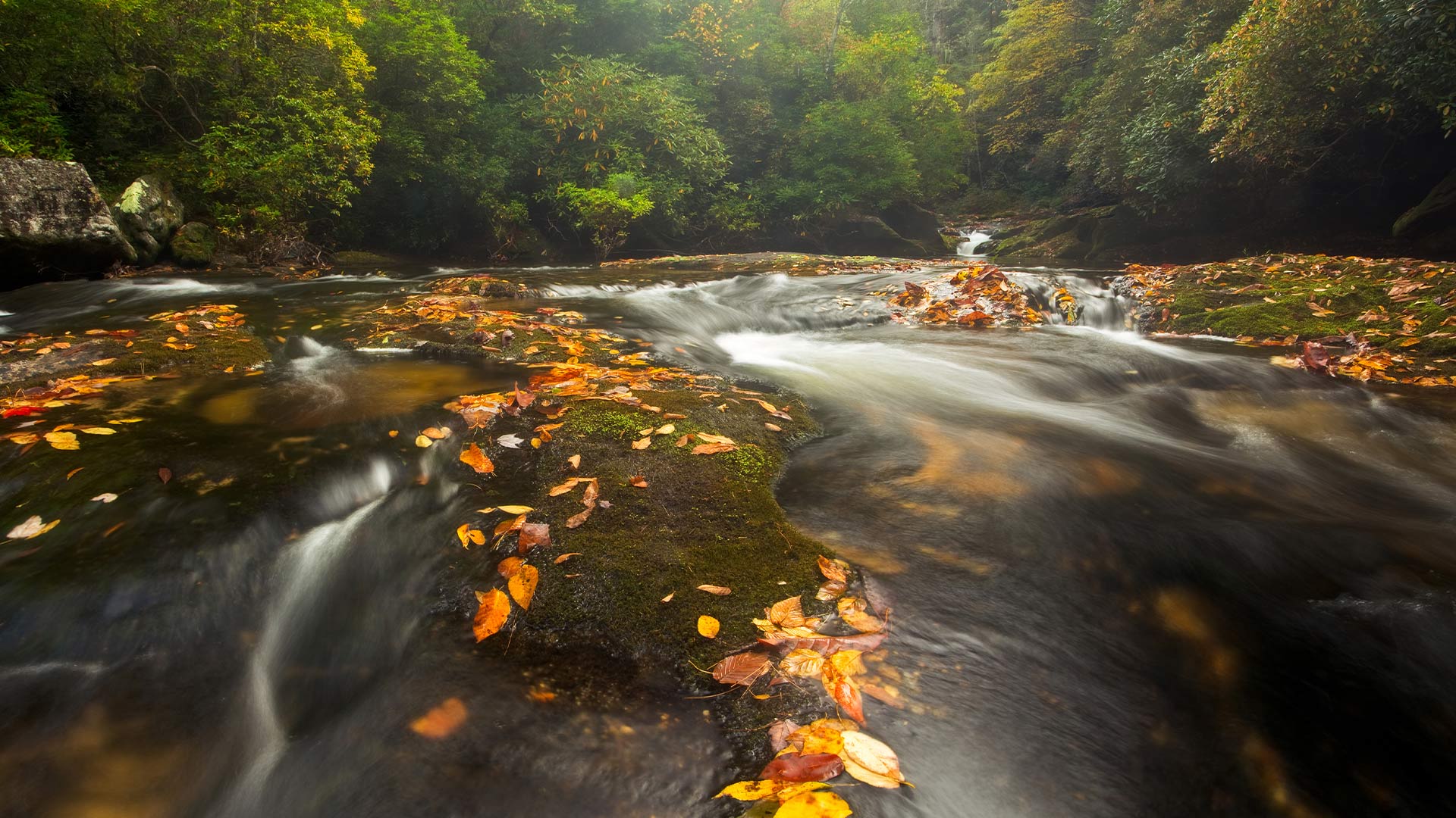 Chattooga River in the Appalachian Mountains, North Carolina