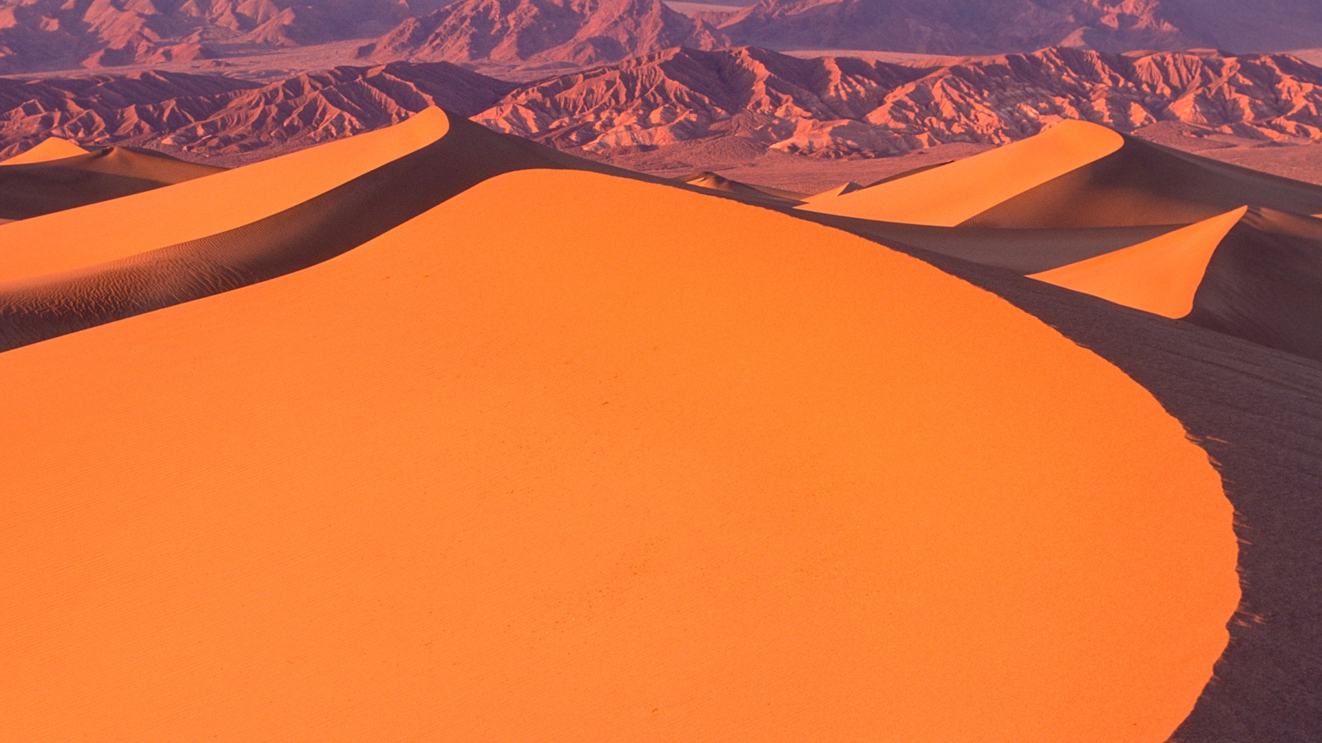 Mesquite Flat Sand Dunes, Death Valley National Park, California, USA
