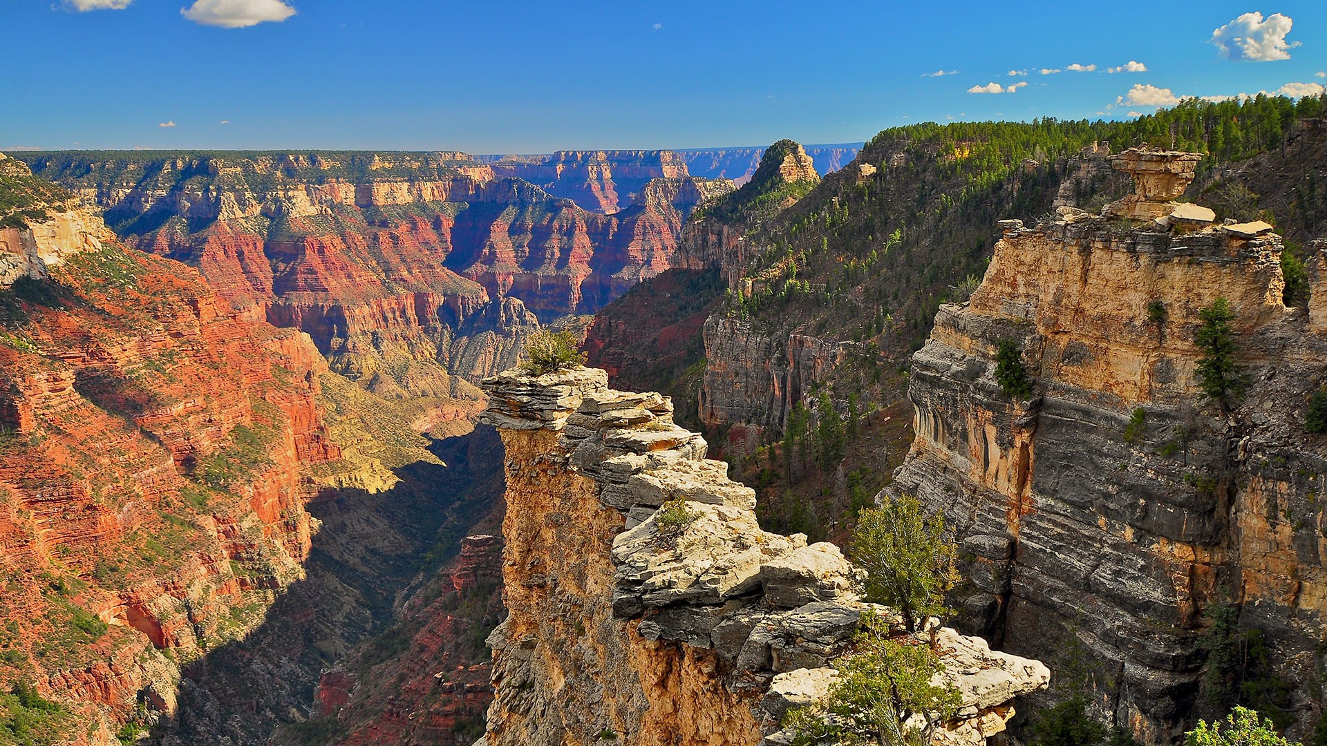 The Transept, North Rim, Grand Canyon National Park, Arizona, USA