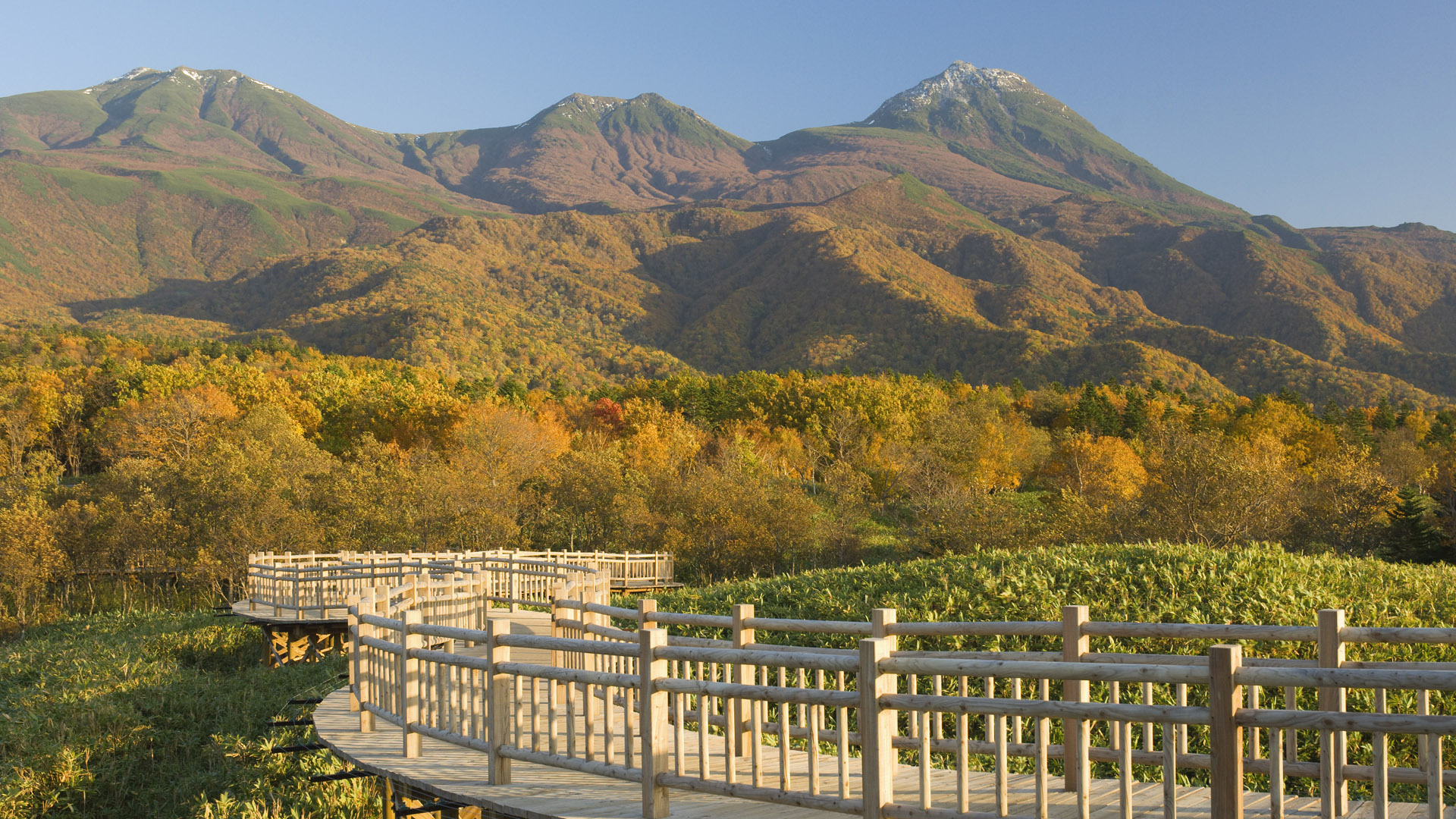 Boardwalk in Shiretoko National Park, Hokkaido, Japan