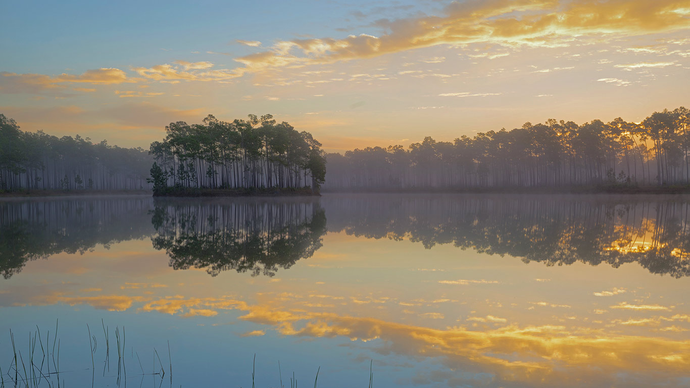 Long Pine Key in Everglades National Park, Florida