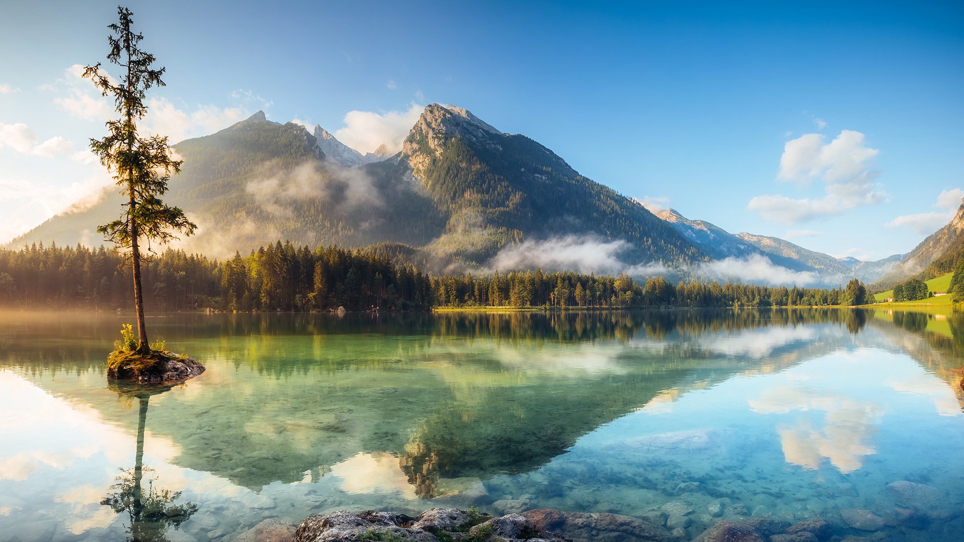 Tree on rock island at Lake Hintersee, Berchtesgaden National Park, Ramsau, Bavaria, Germany